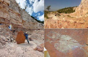 Visita el antiguo mar de Puebla donde se encontraron varias criaturas