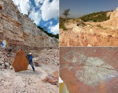 Visita el antiguo mar de Puebla donde se encontraron varias criaturas