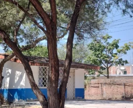 Imagen retomada del medio El Correo, El Vergel