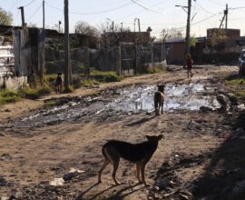 El abandono que se acumula en las esquinas: cuando el descuido diario transforma la ciudad